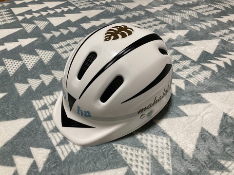 Helmet06