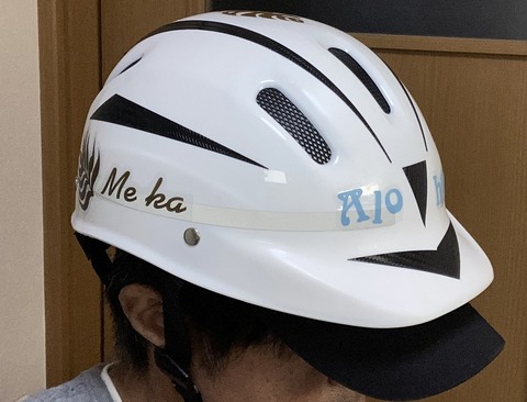 Helmet08