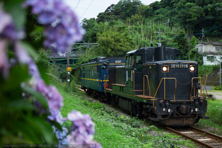鹿児島】DE10 1195単機, DE10 1756 + マヤ34-2009 : のん植原の鹿児島