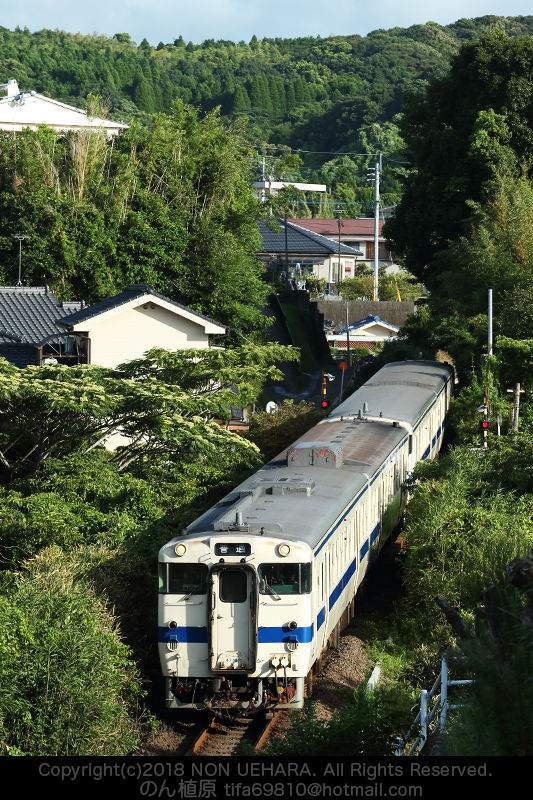 鹿児島】指宿枕崎線 キハ47×4連,キハ200×4連 : のん植原の鹿児島