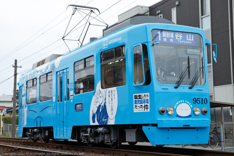 e88c80dd-s.jpg