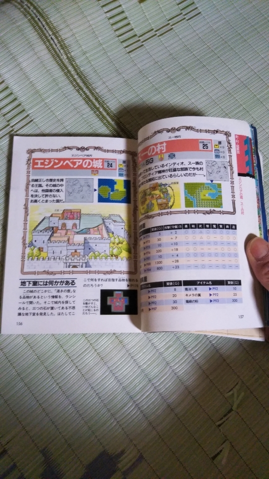 Dqw のなだんごが感じたドラクエウォーク 感想 のなだんごの白猫 Dqw のなだんごが感じたドラクエウォーク 感想 のなだんごの白猫