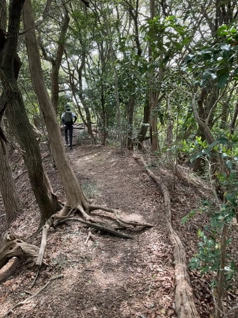 登山写真5-1