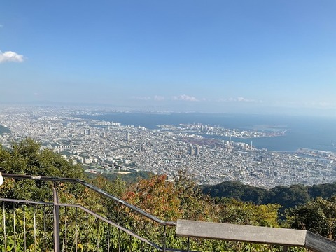 image1 (2)