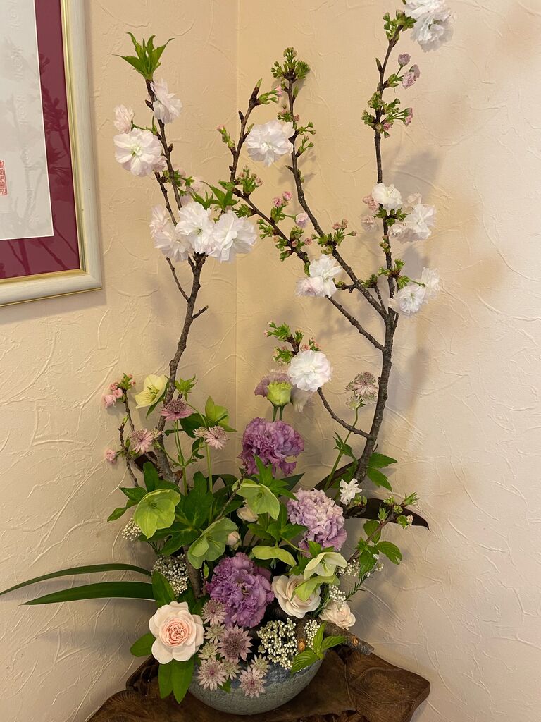 image0 (27)