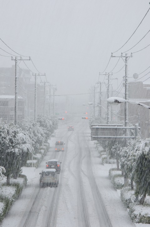 DSC_0002_resize