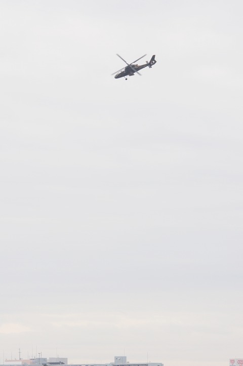 DSC_0723_resize