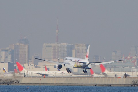 DSC_0372_triming_resize