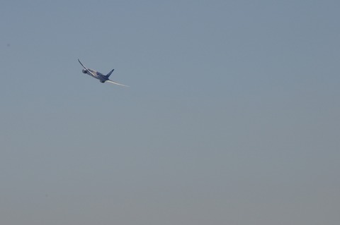 DSC_0140_resize