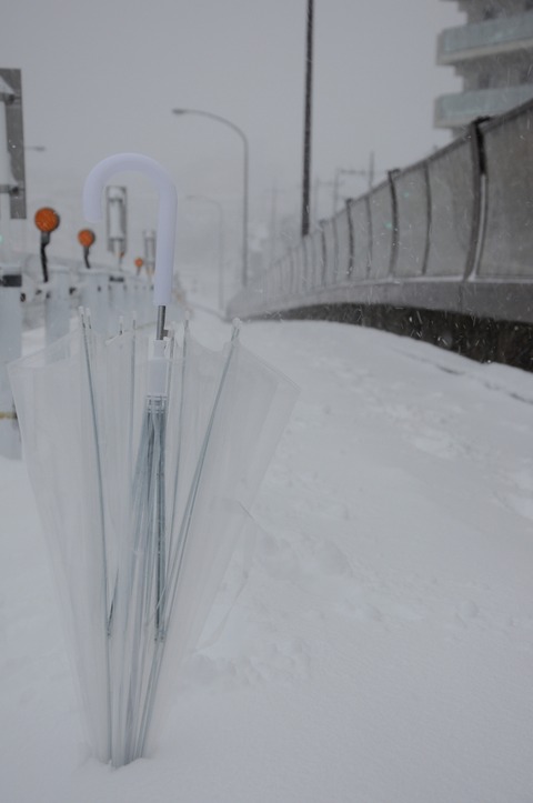 DSC_0113_resize