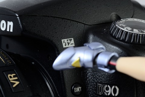 DSC_0251_resize