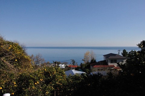 DSC_0099_resize