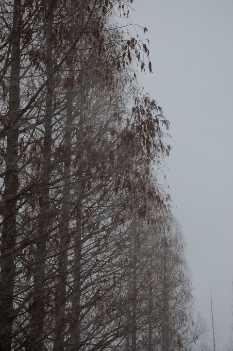 DSC_0044_resize