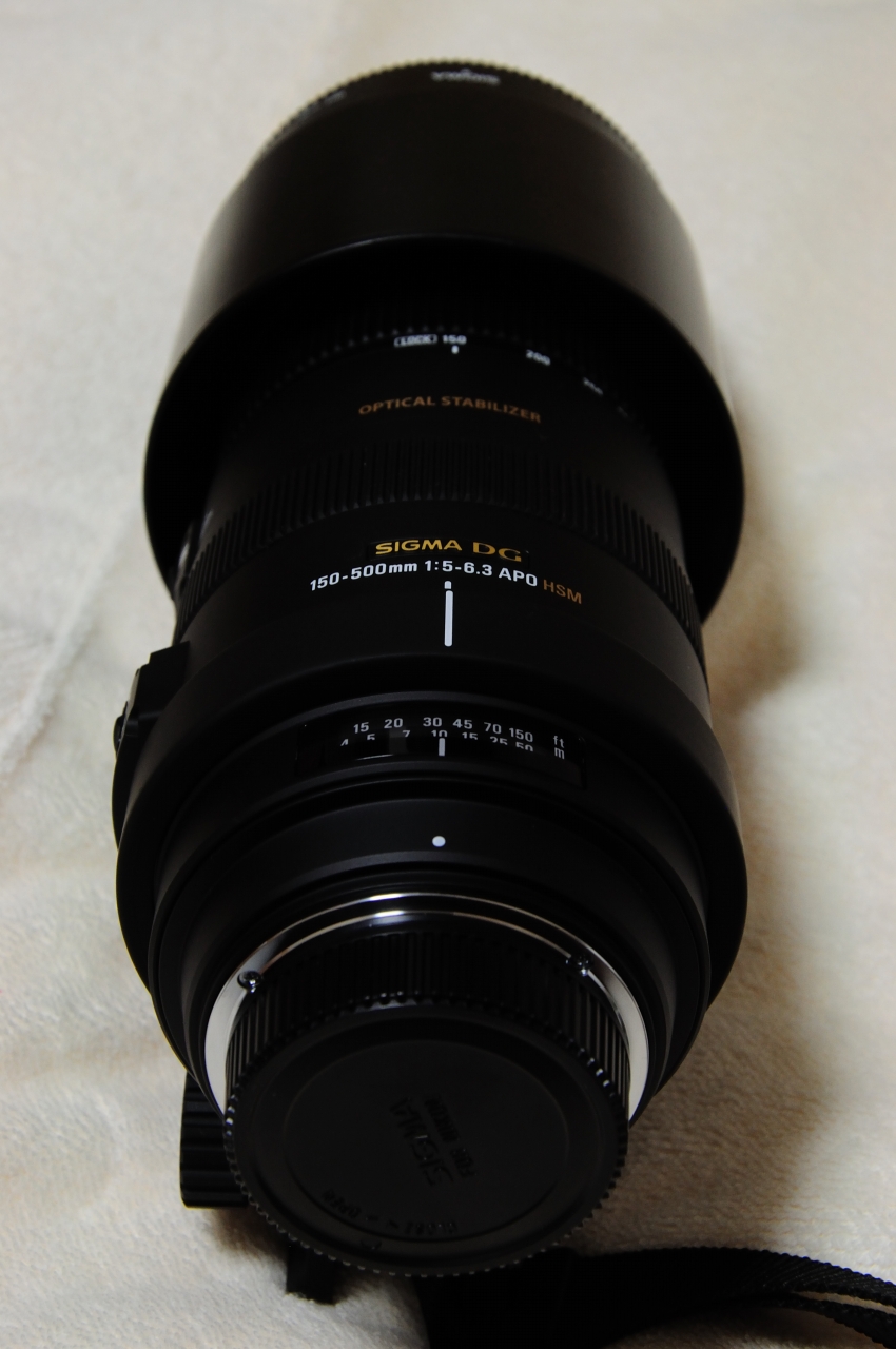 12 12 Apo 150 500mm F5 6 3 Dg Os Hsm 撮りためろ写真 12 12 Apo 150 500mm F5 6 3 Dg Os Hsm 撮りためろ写真