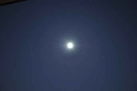 DSC_0019_188_resize