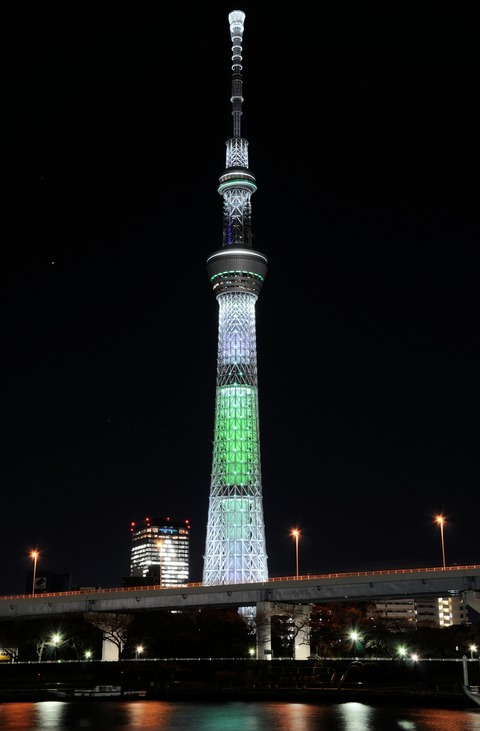 DSC_0017_triming_resize
