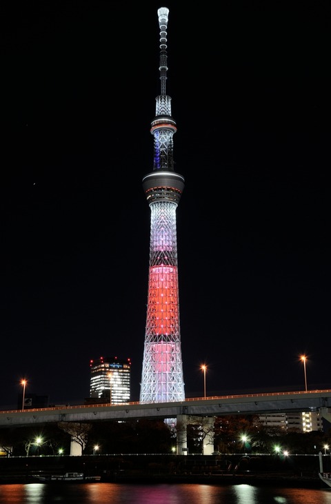 DSC_0016_triming_resize