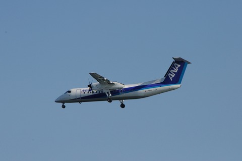 DSC_0018_resize