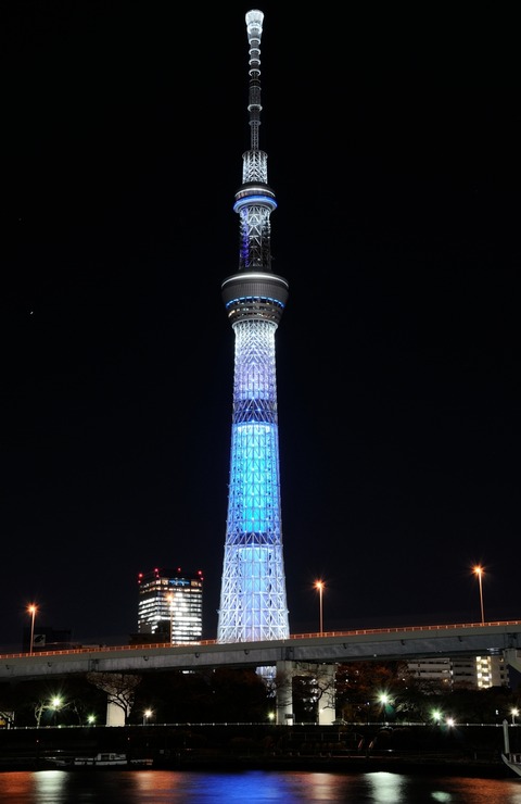 DSC_0010_triming_resize