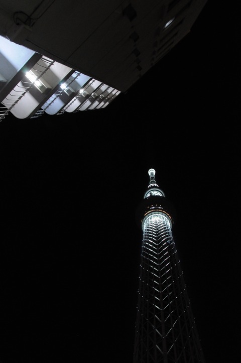 DSC_0558_resize
