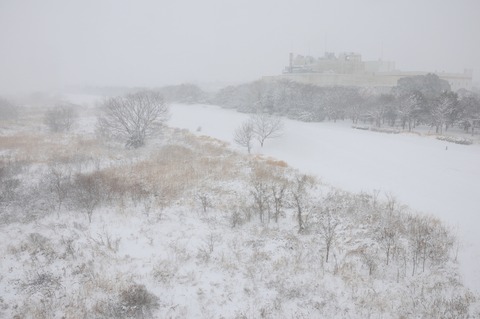 DSC_0024_resize