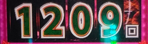 IMG20230207171007~2
