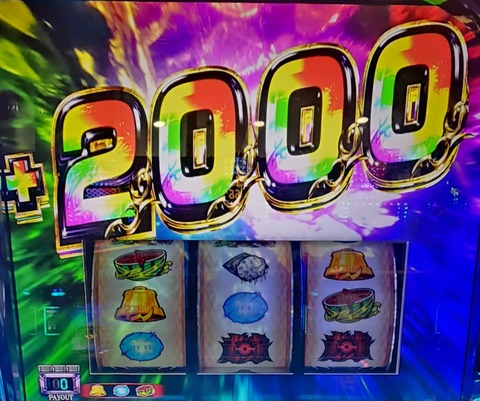 20250212_165217