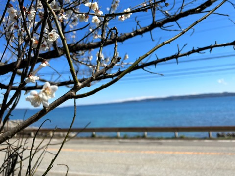 LINE_ALBUM_安全祈願ツー47