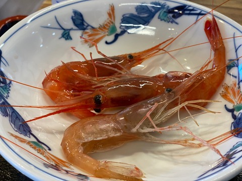 LINE_ALBUM_安全祈願ツー15