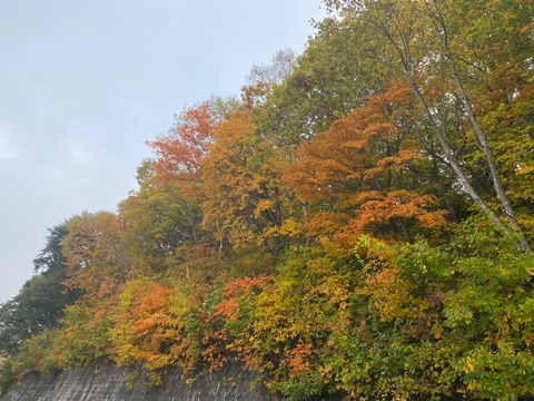 1日目志賀高原2