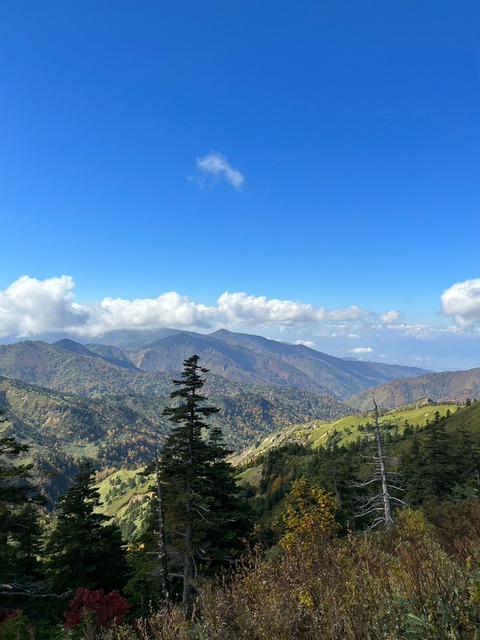 2日目志賀高原4