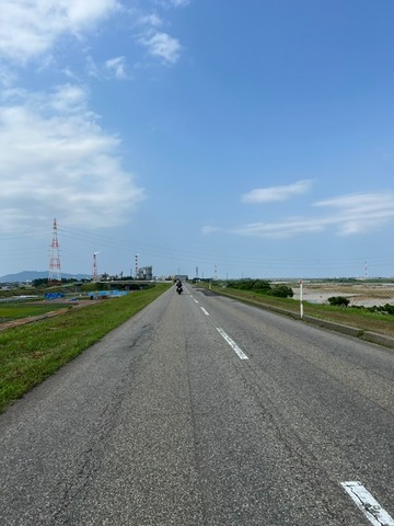 a31