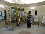 DSC09582-y6