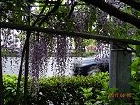 DSC07285-y6