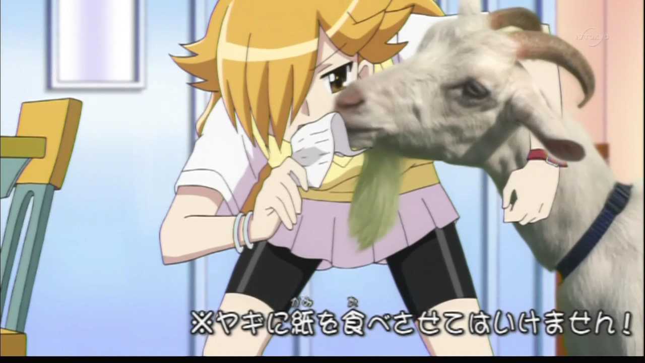 ジュエルペットのマジキチ回で打線組んだwww どうでもいいまとめをのんびりやるよ ジュエルペットのマジキチ回で打線組んだwww どうでもいいまとめをのんびりやるよ