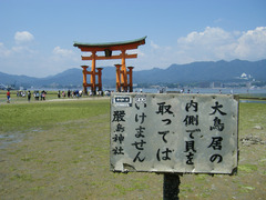 DSCF2386