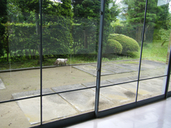 DSCF6767