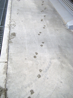 2008032000