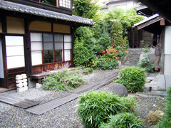 DSCF2519