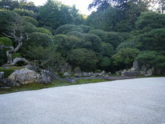 DSCF2684