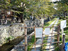 DSCF2668