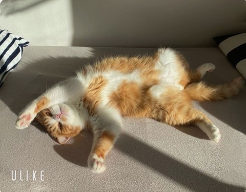 beauty_20250317174825