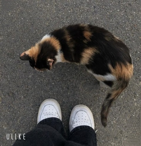 beauty_20250131155614