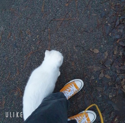 beauty_20250201161607