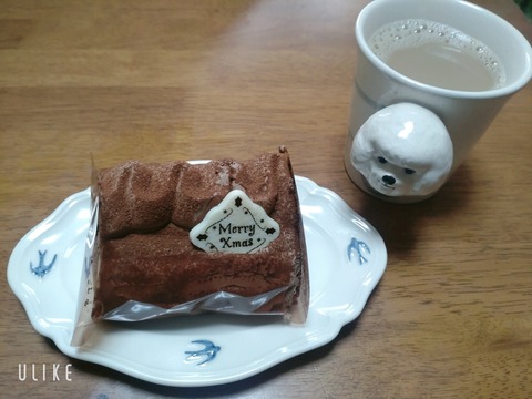 beauty_20241225133816