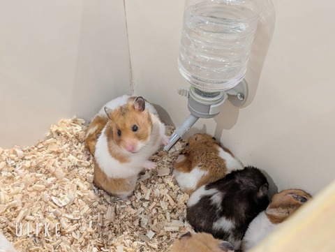 beauty_20250507131851