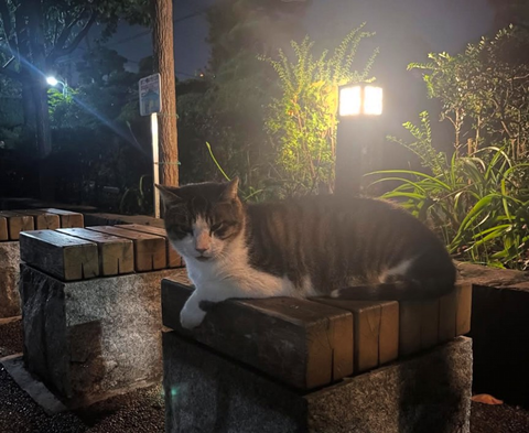 Screenshot_20260225-144307