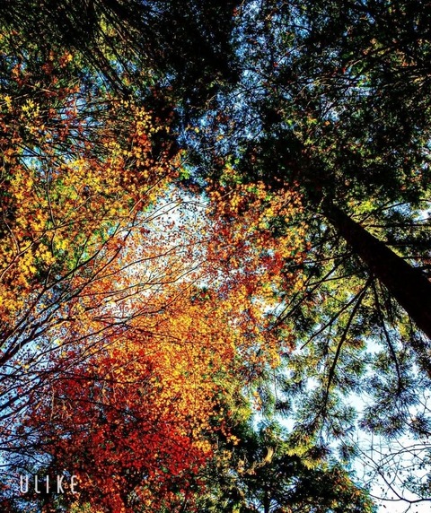 beauty_20251103141945