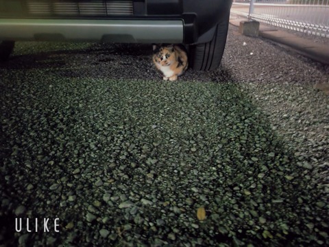 beauty_20251110191507