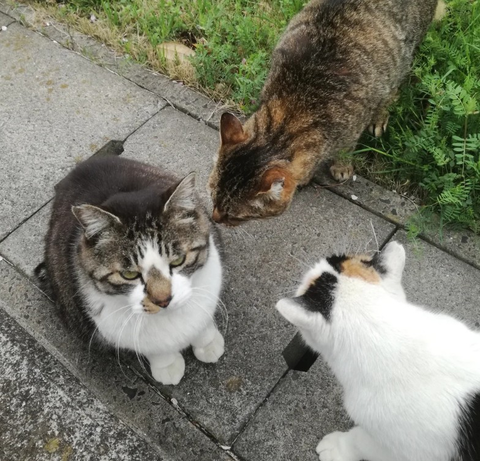 Screenshot_20260330-163008